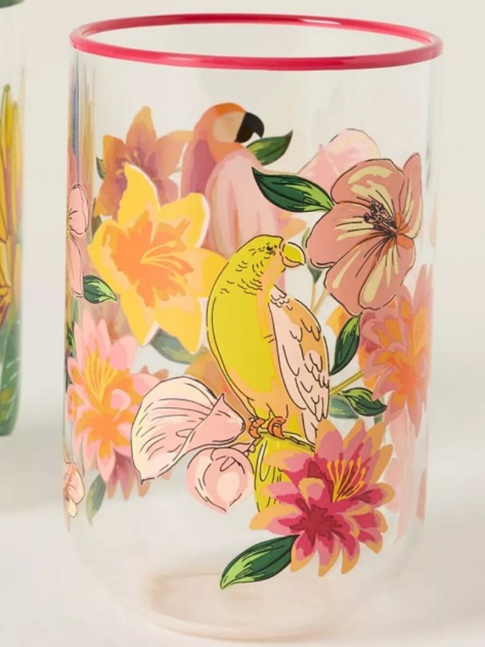 2 x Anthropologie x Farm Rio Juice Glasses - Picture 4 of 4
